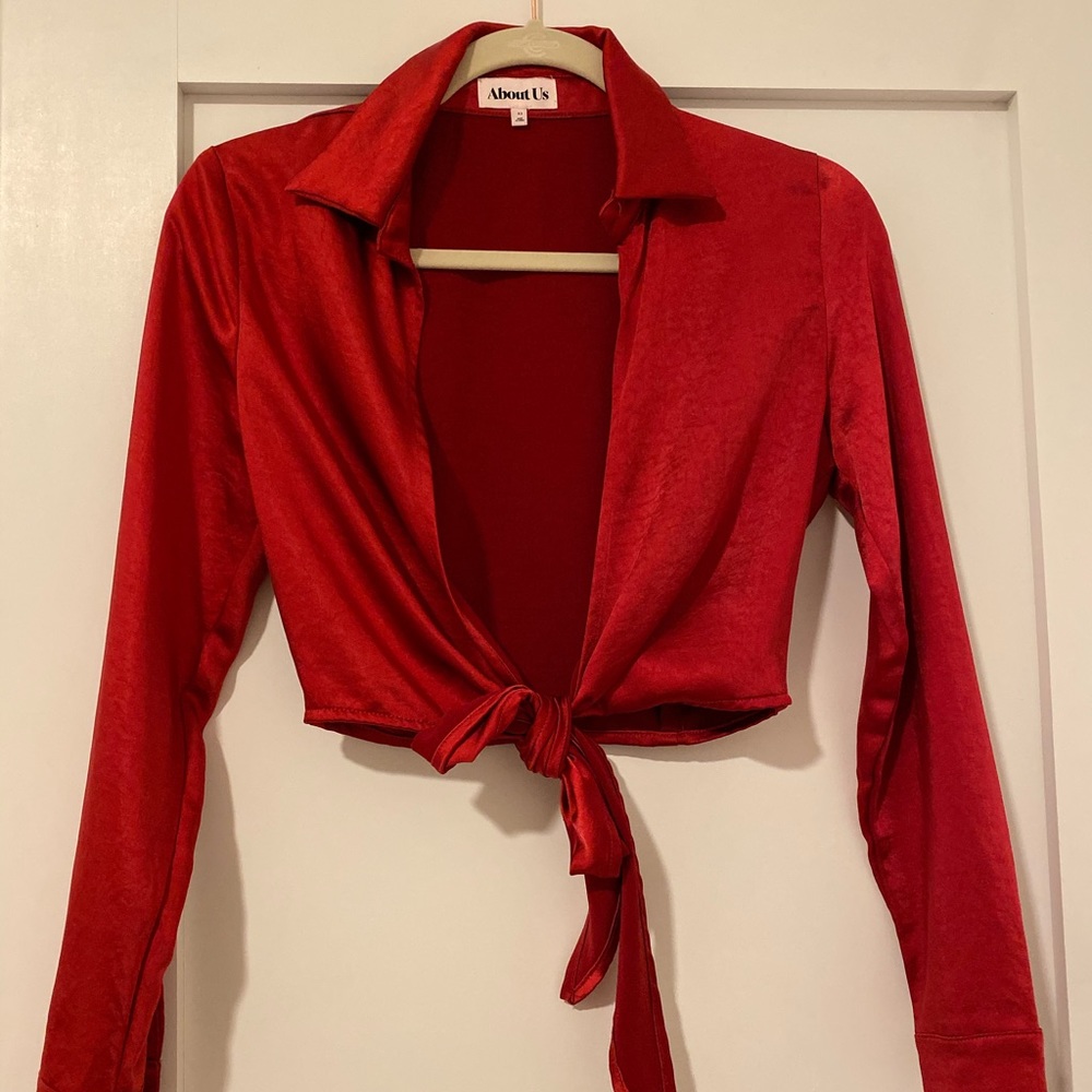 Red Satin Long Sleeve Tie Front Crop Top